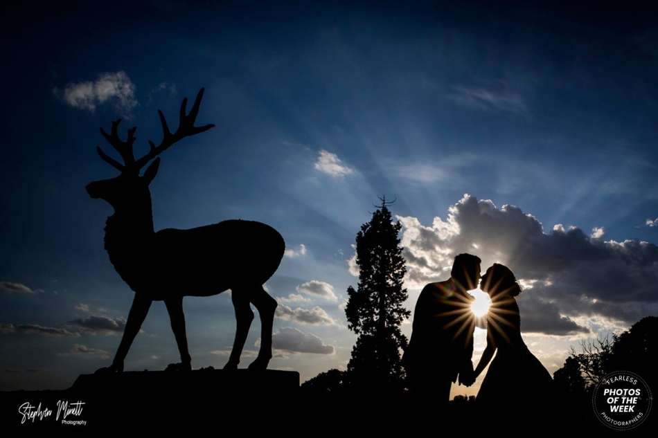 Gallery image 11: stephen-minett-photographer