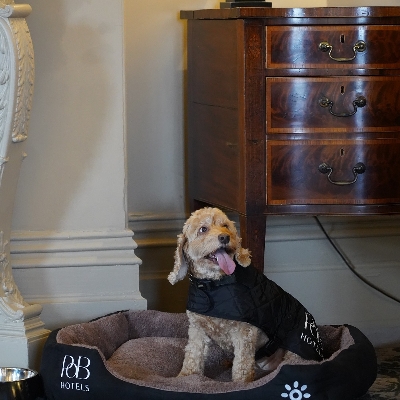 Wedding News: PoB Hotels’ Breaks with Four-Legged Friends