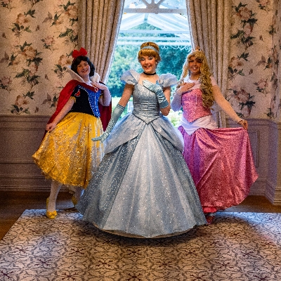 Princess-themed Afternoon Tea arrives at Down Hall Hotel