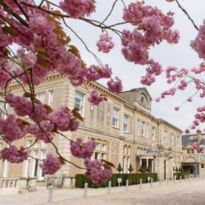Down Hall wins LuxLife and SME 'Best Country House Hotel' awards 2025