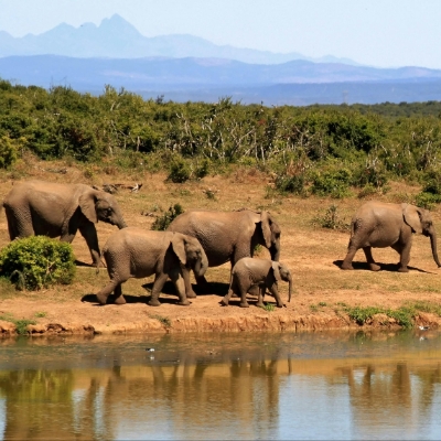 Honeymoons: 2026 African honeymoon hotspots