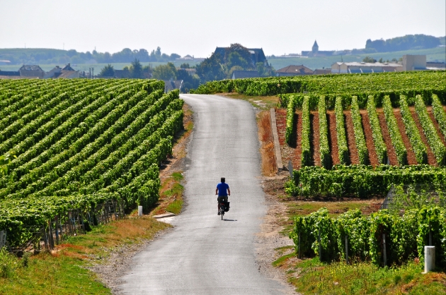 5 reasons why Champagne an eco-friendly wedding choice: Image 1