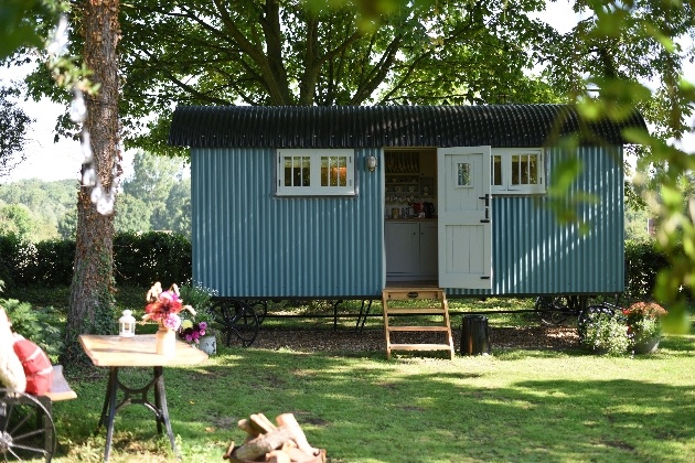 blue shepherd hut surrounded by trees