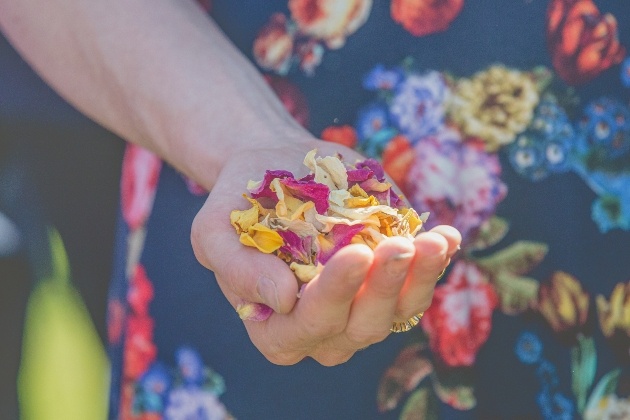 hand holding petals