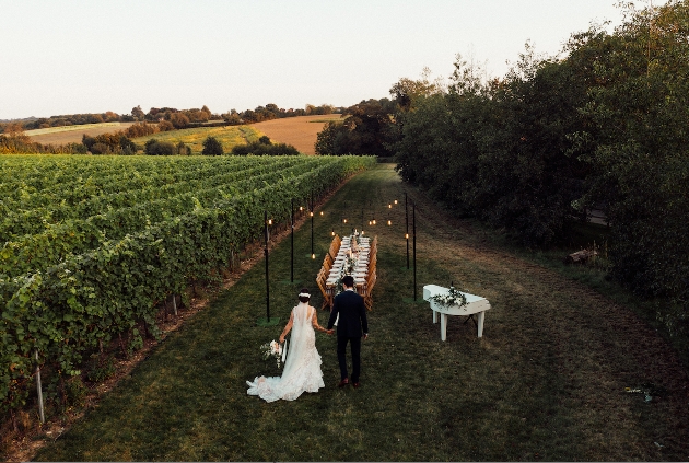 wedding couple walking through vineyard