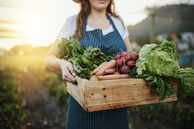 turnips in a basket with a sign that says local produce