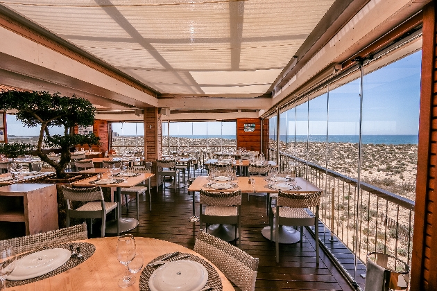 inside restaurant with panoramic windows with sea views large tree in middle of tables