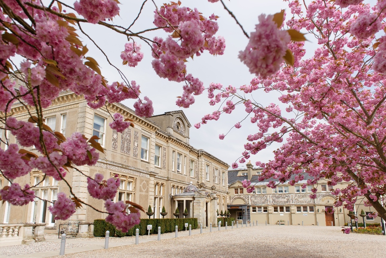 Down Hall  large white historic building with blossom tress out front 