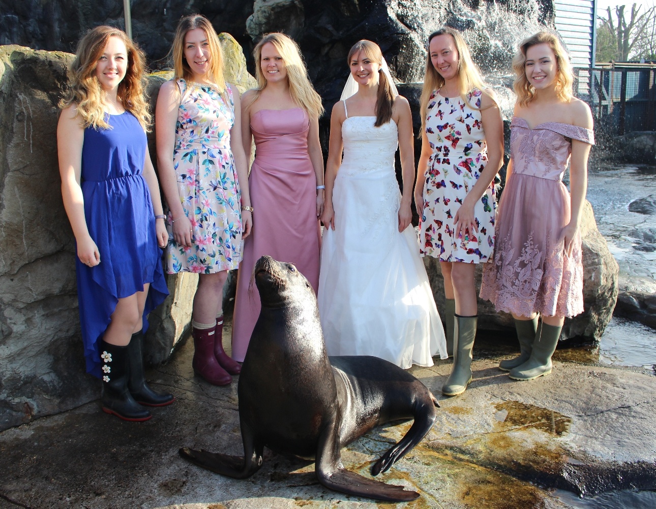 bride and bridesmaids in the sea lion enclosure at the zoo 