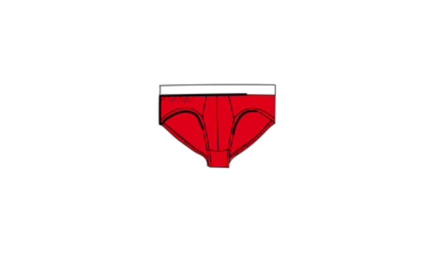 The men's brief