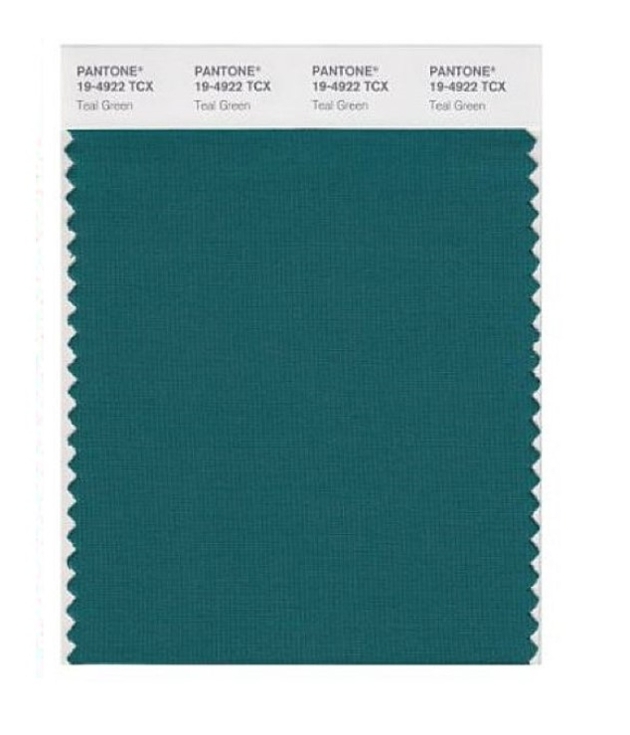 colour swatch of teal colour