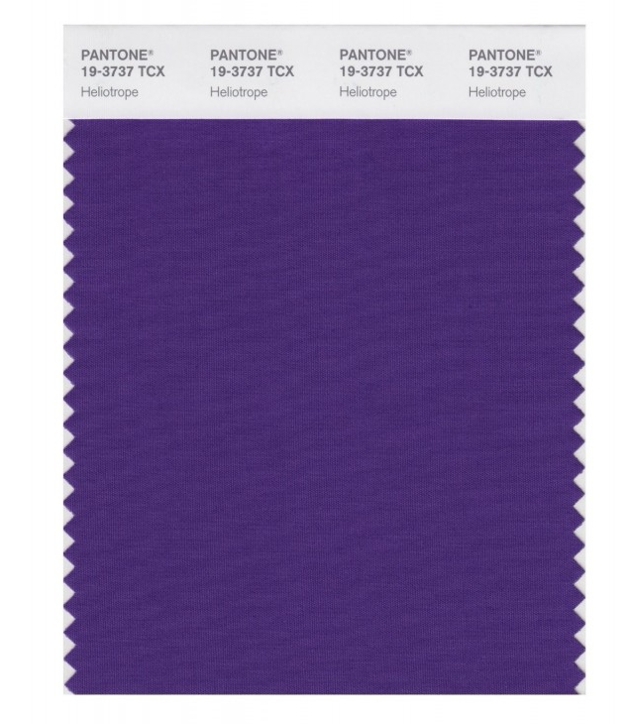 colour swatch of purple colour