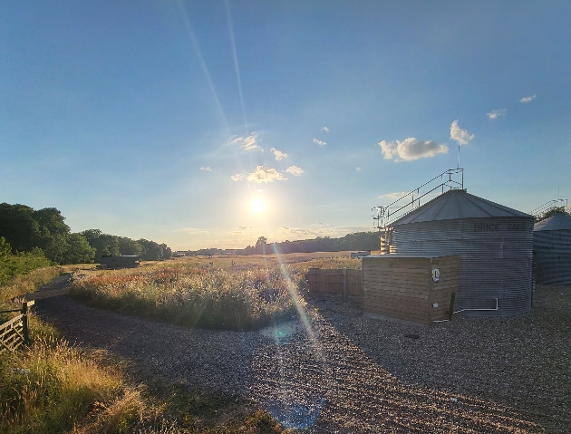 farm view with fields and stables at sunset
