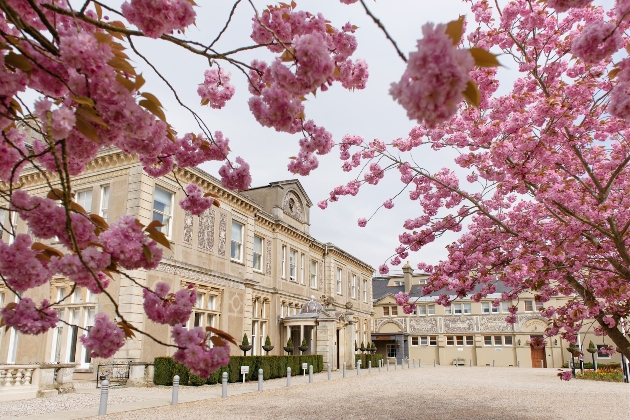 Down Hall exterior shot surrounded by pink blossom