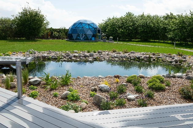 wild pond next to decking