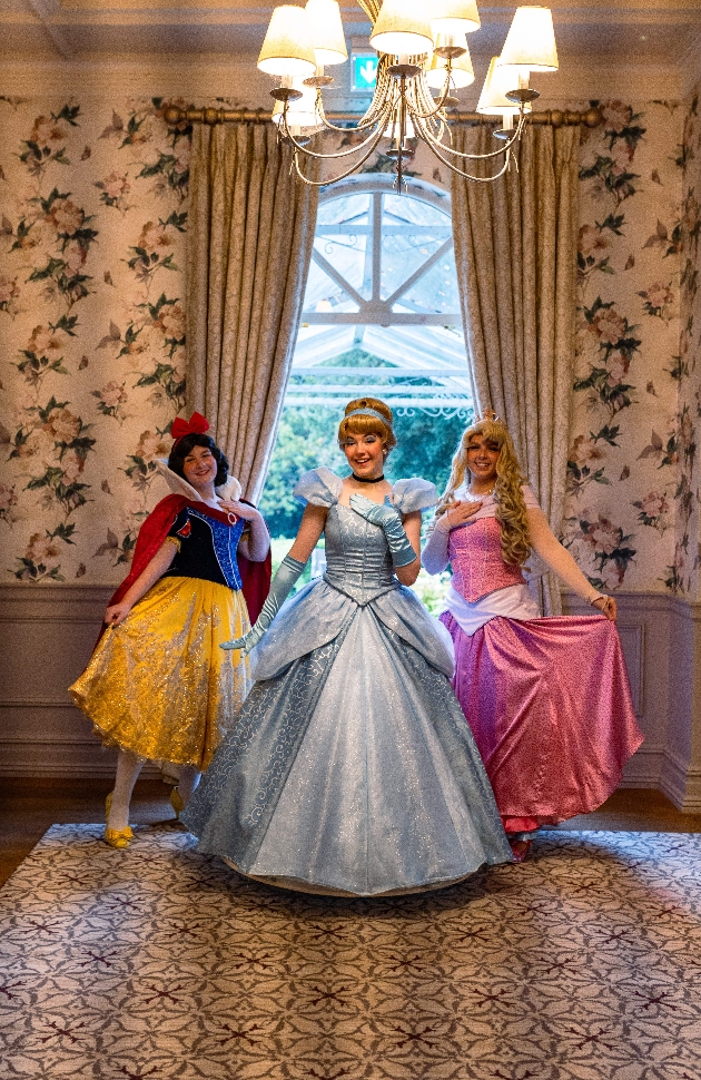 three disney princesses dressed up in gowns