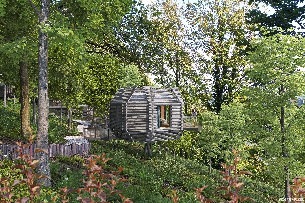 A suspended wooden building in the middle of the woods