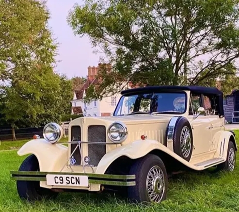 cream beauford card