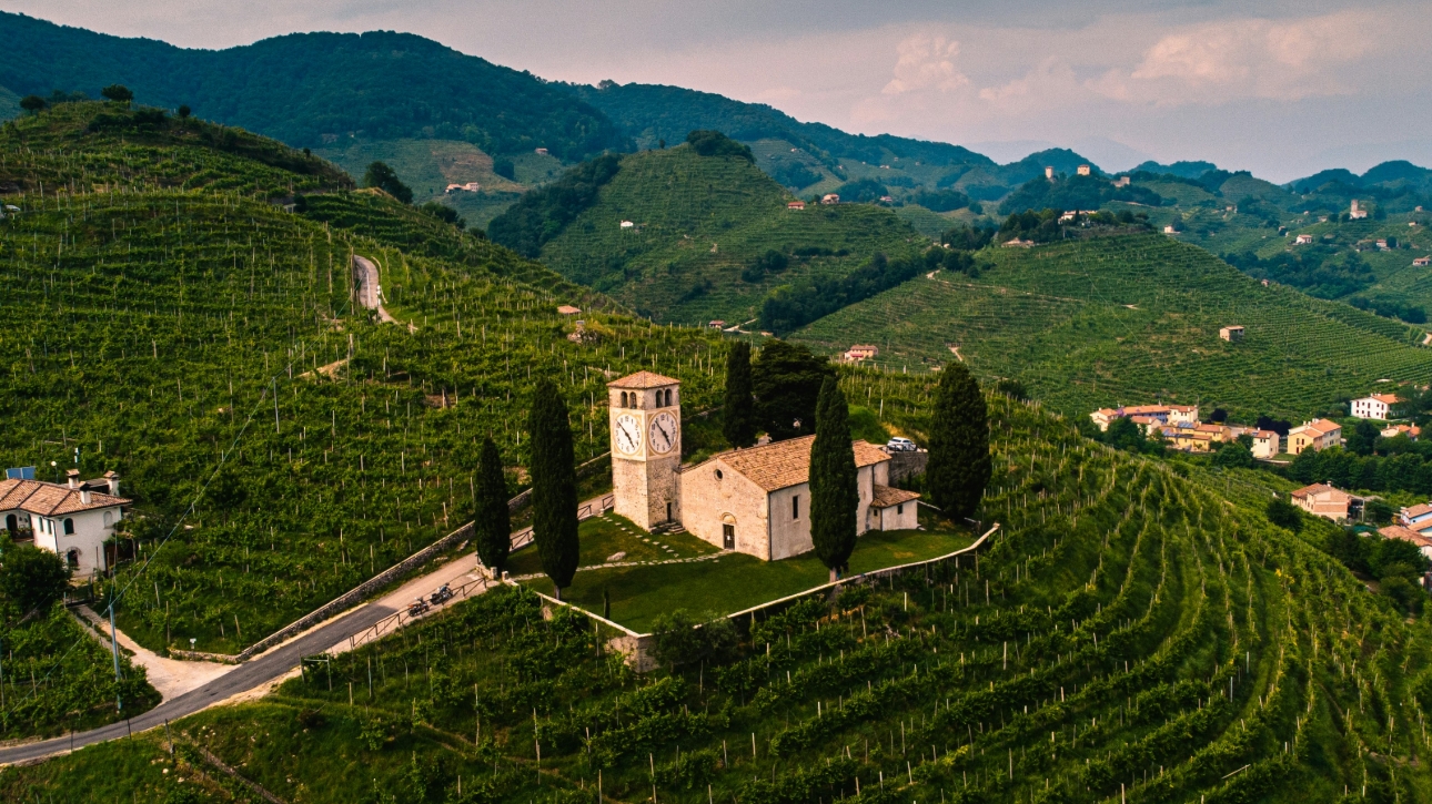 countryside view of Italy and vineyards