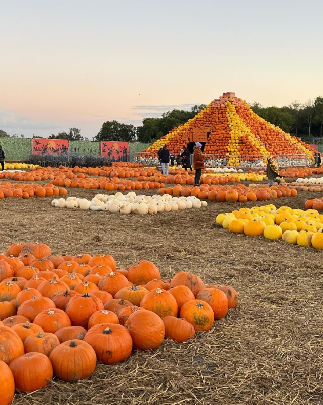 Pumpkin tower
