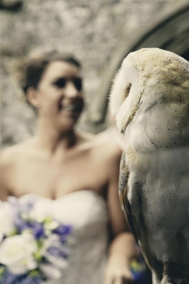 Billericay-based expert offers wedding advice on feathery friends at your nuptials: Image 1