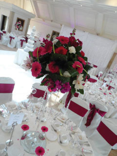 TJ Floral Designer