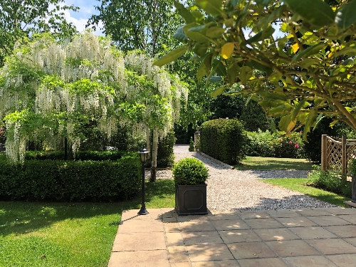 Image 2 from Ivy Hill