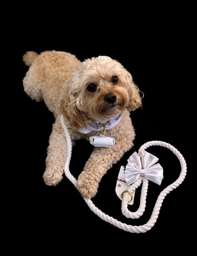 P&H Sitting by Wendy