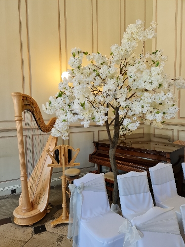 Bella Chipperfield - Harpist & Pianist