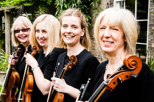 Image 3 from Sole Bay Strings