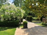 Thumbnail image 2 from Ivy Hill