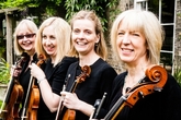 Thumbnail image 3 from Sole Bay Strings